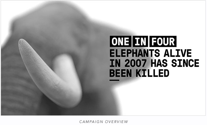 Campaign Overview Image